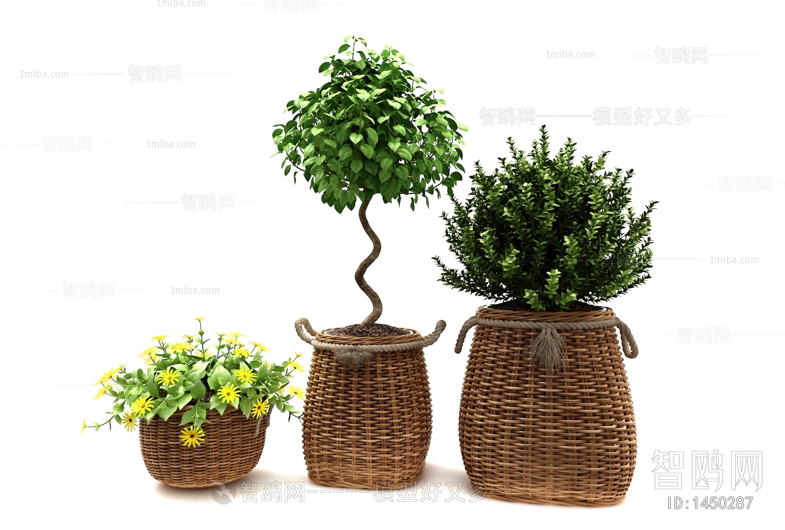 Modern Potted Green Plant