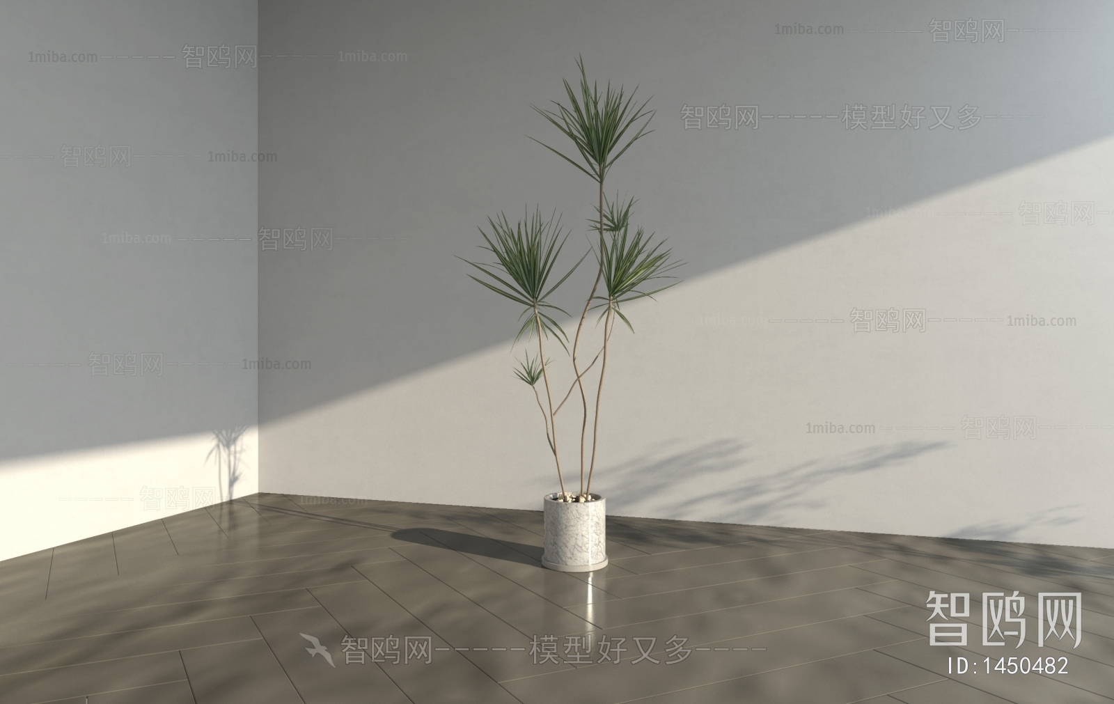 Modern Potted Green Plant