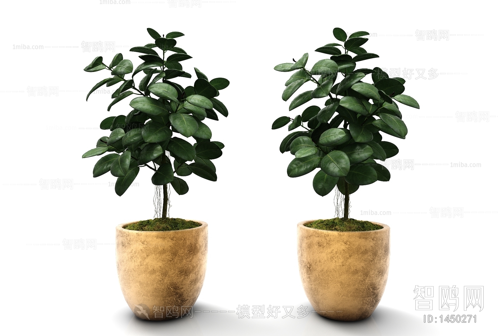 Modern Potted Green Plant