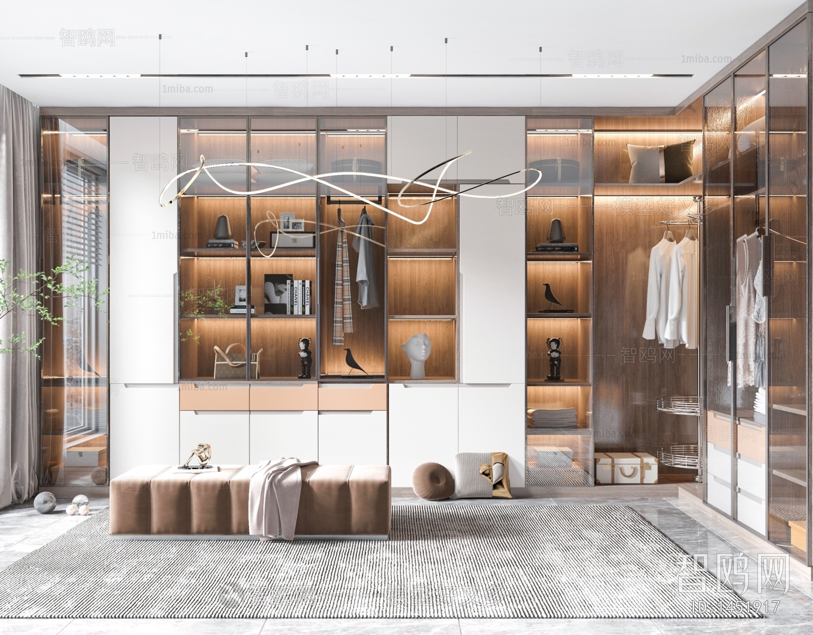 Modern Clothes Storage Area