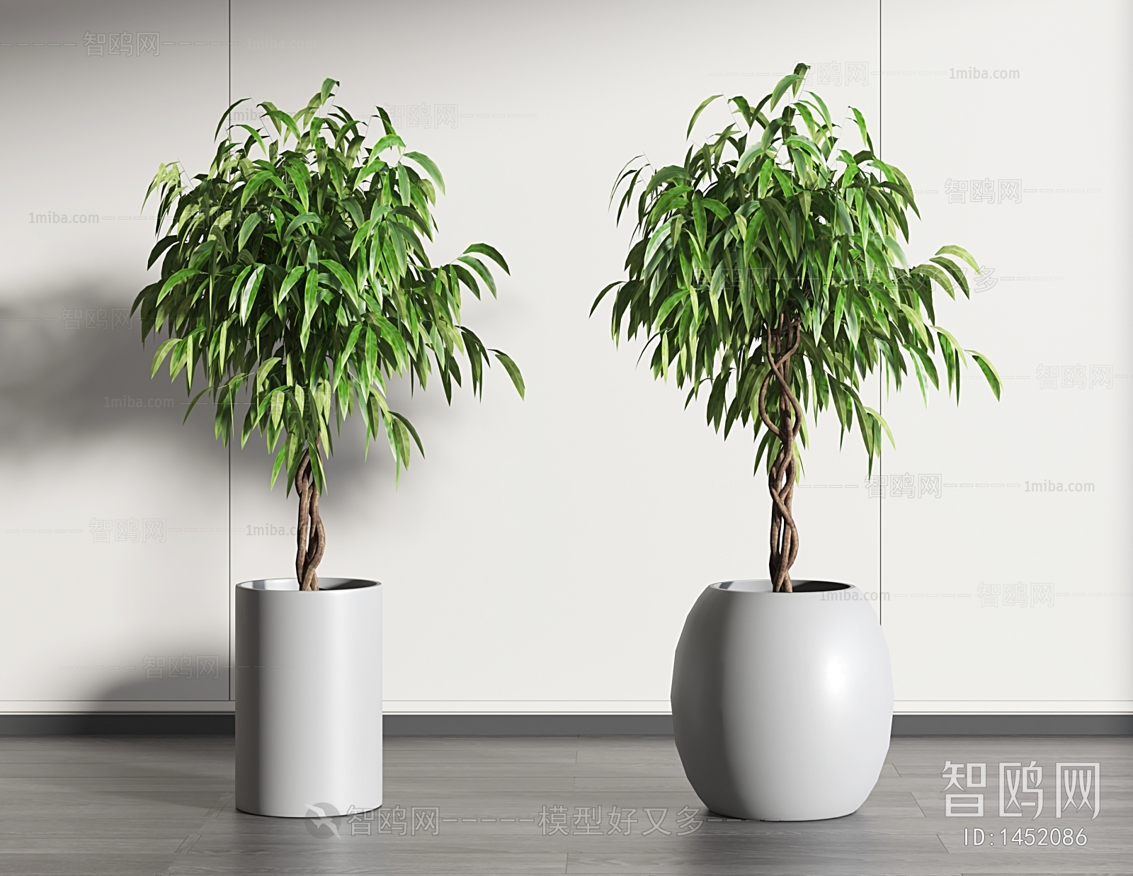 Modern Potted Green Plant