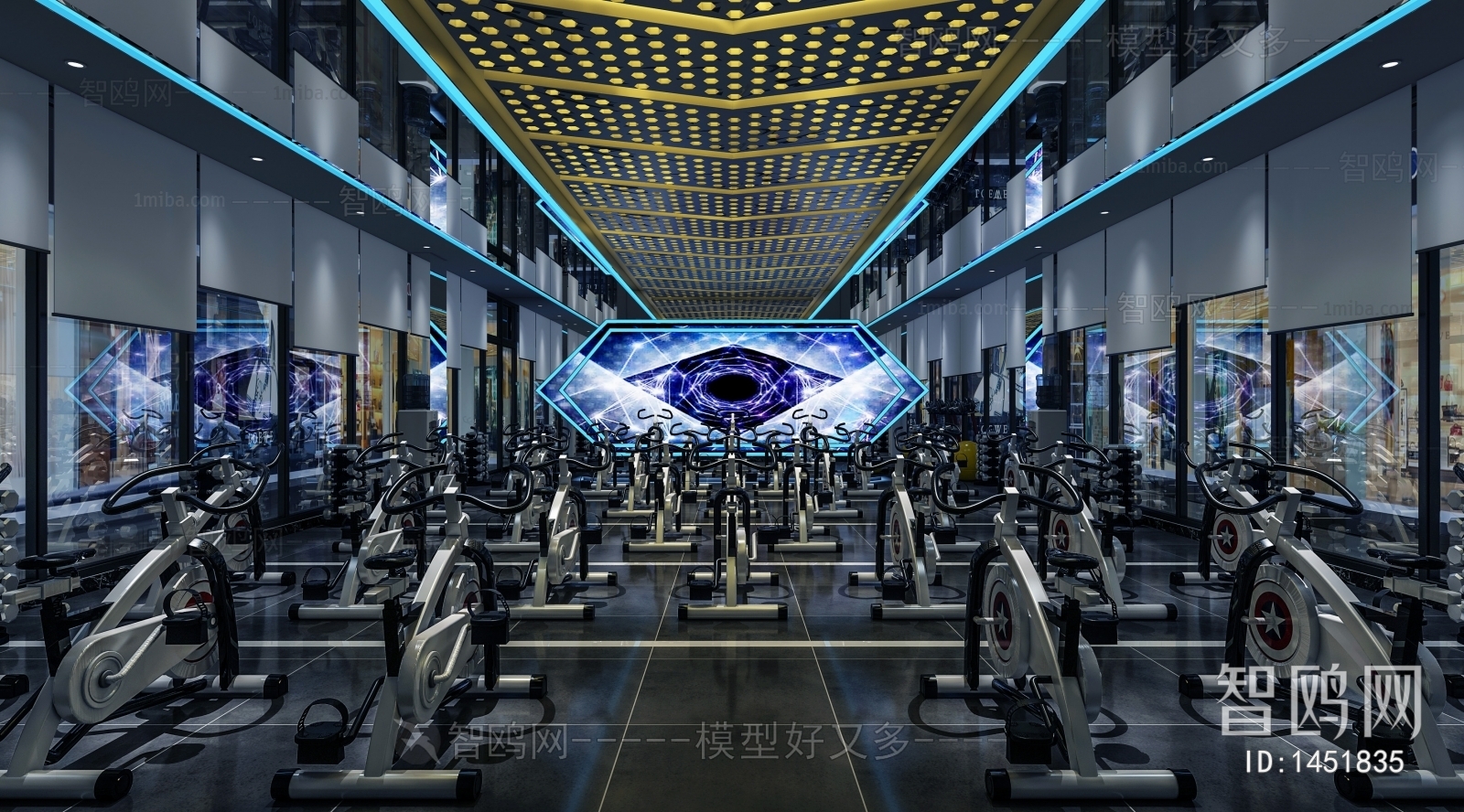 Modern Gym