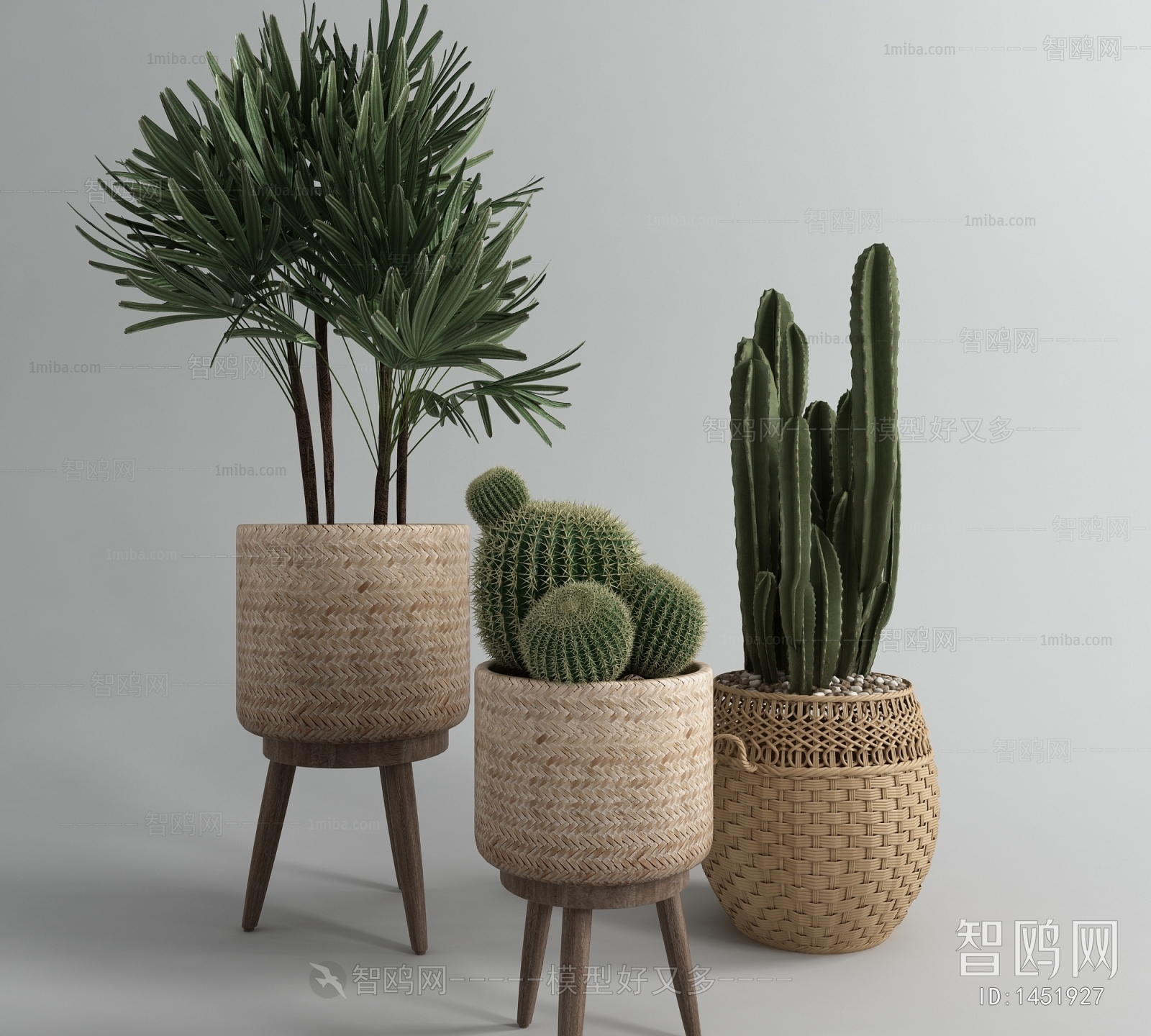 Modern Potted Green Plant