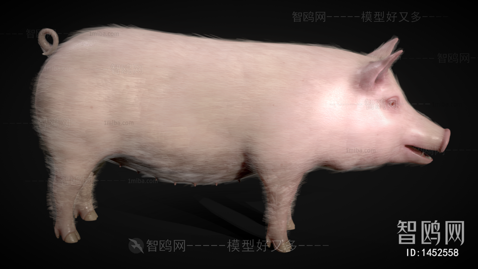 Modern Animal Pig