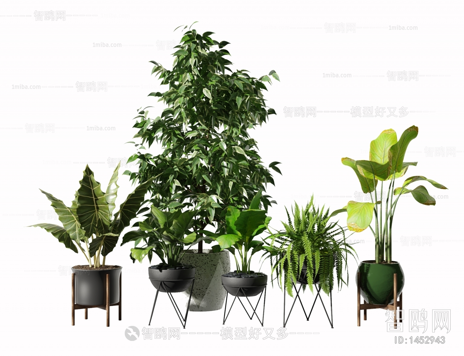 Modern Potted Green Plant