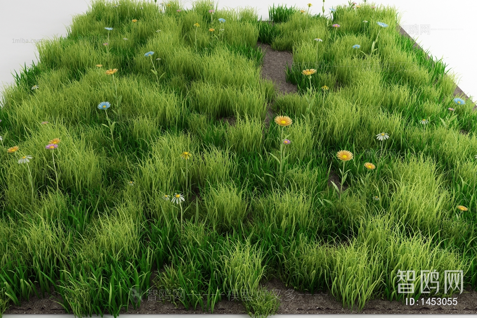 Modern Flowers And Grass