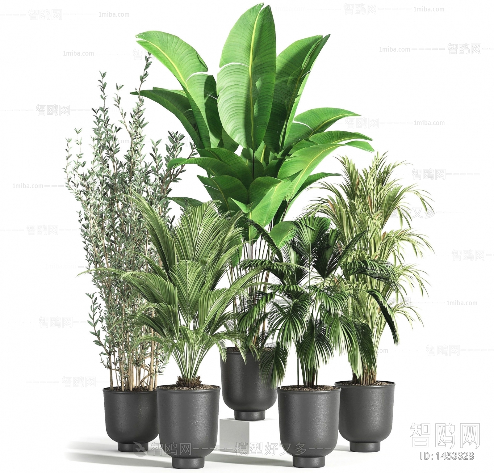 Modern Potted Green Plant