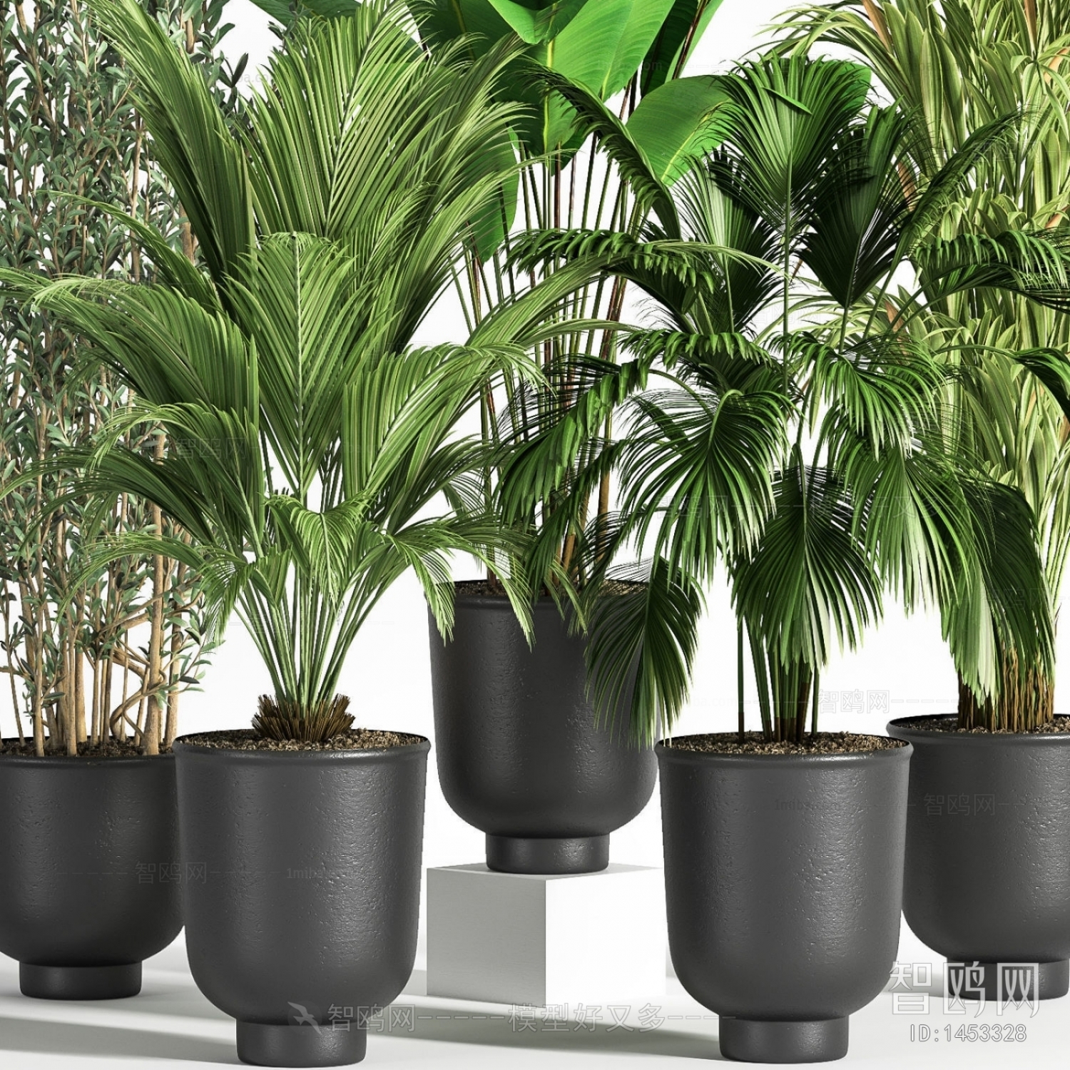 Modern Potted Green Plant