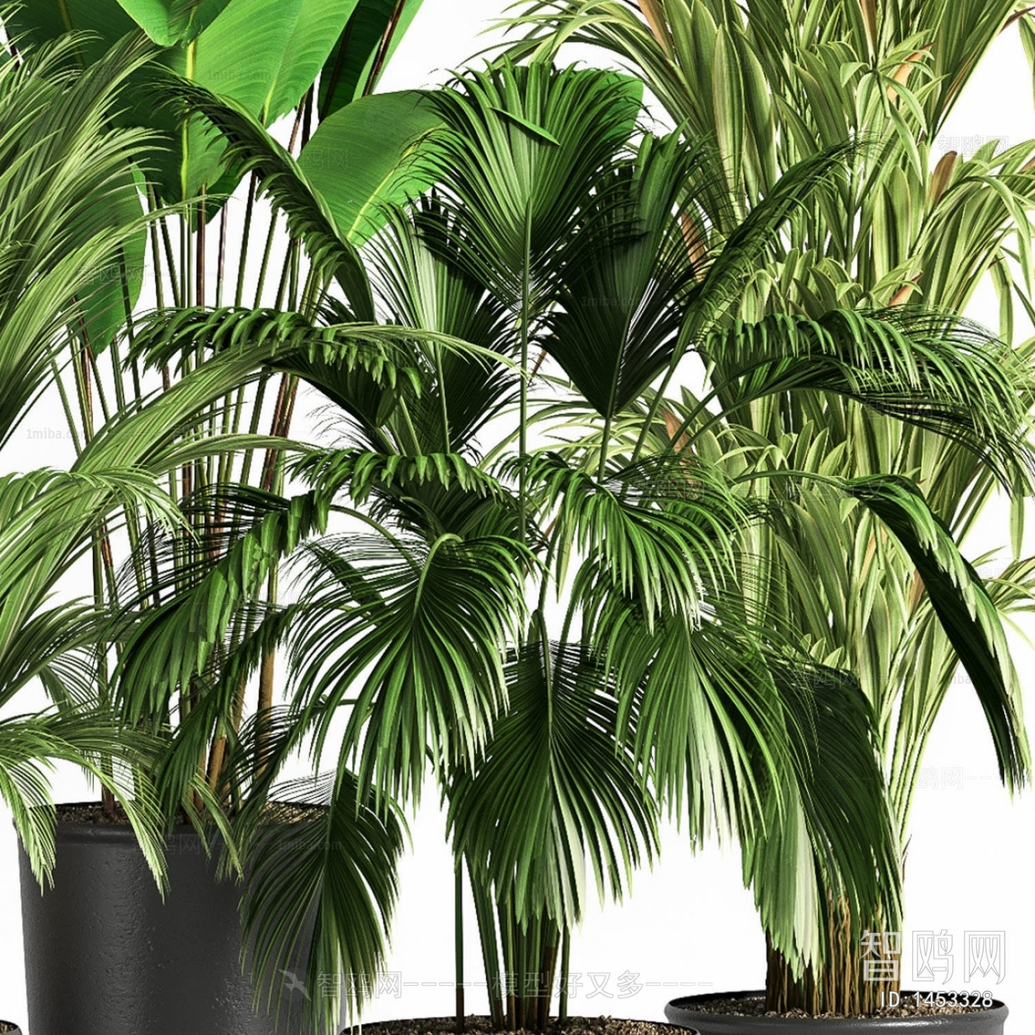 Modern Potted Green Plant