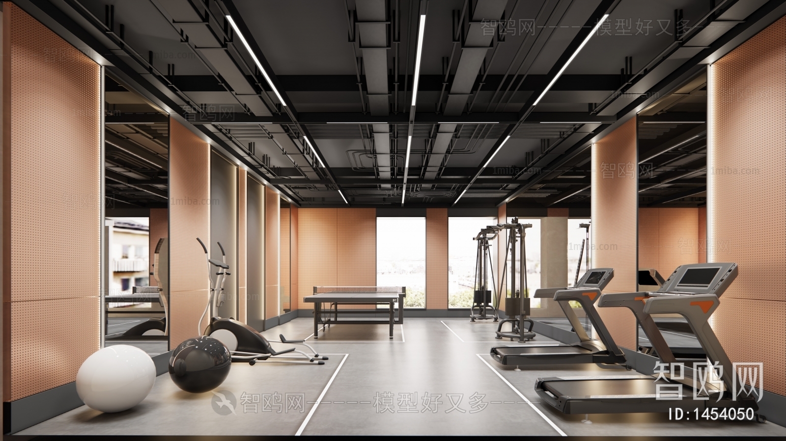 Modern Gym