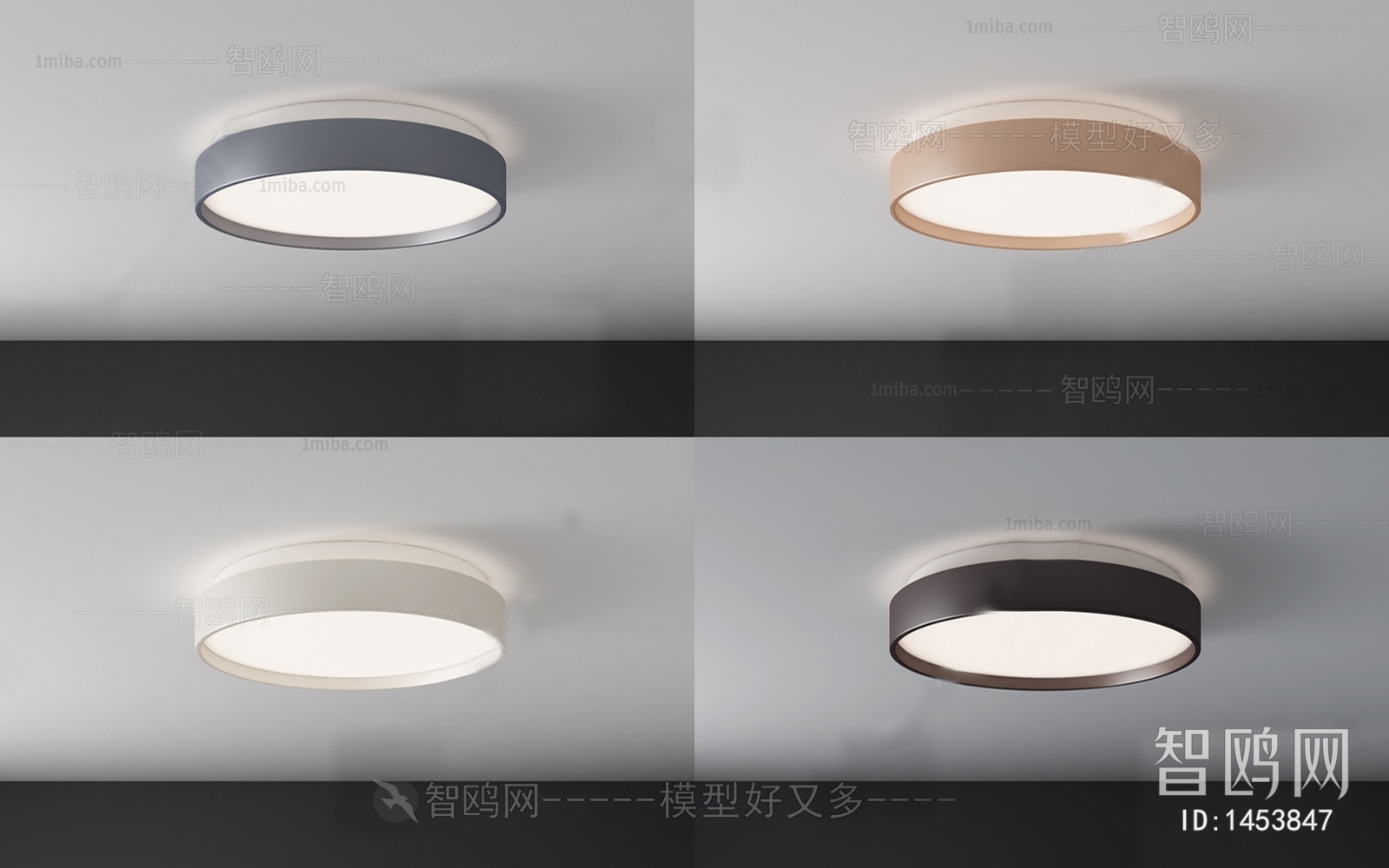 Modern Ceiling Ceiling Lamp