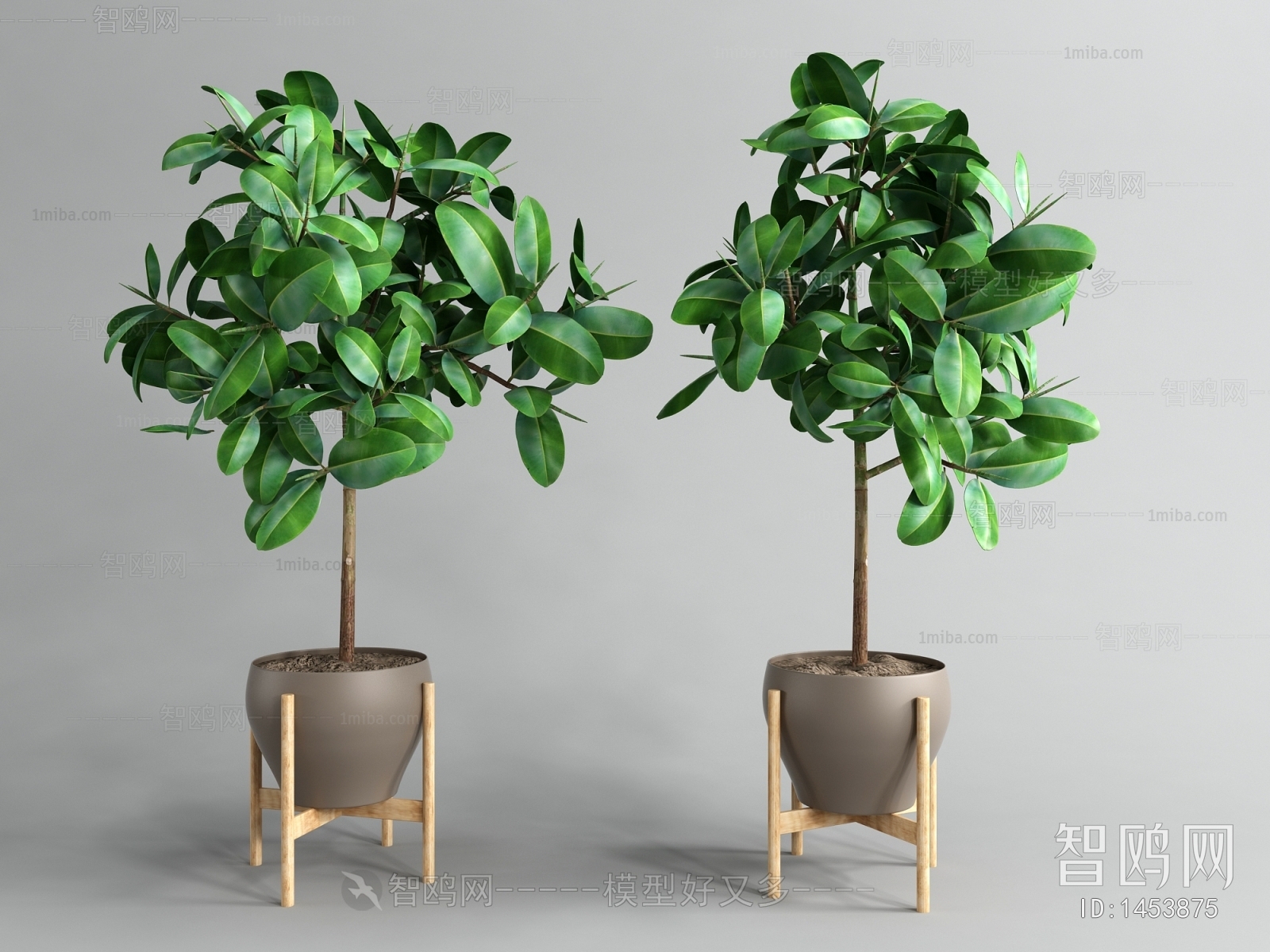 Modern Potted Green Plant