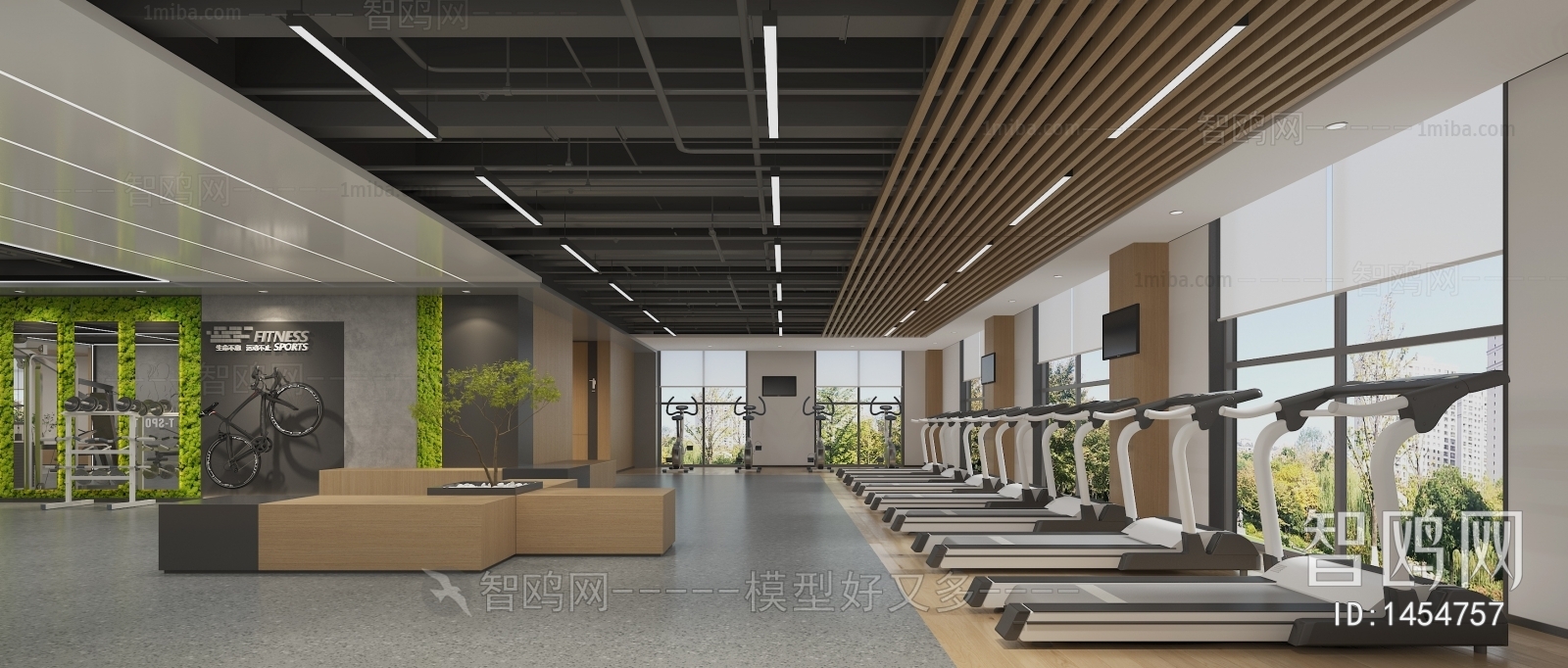 Modern Gym