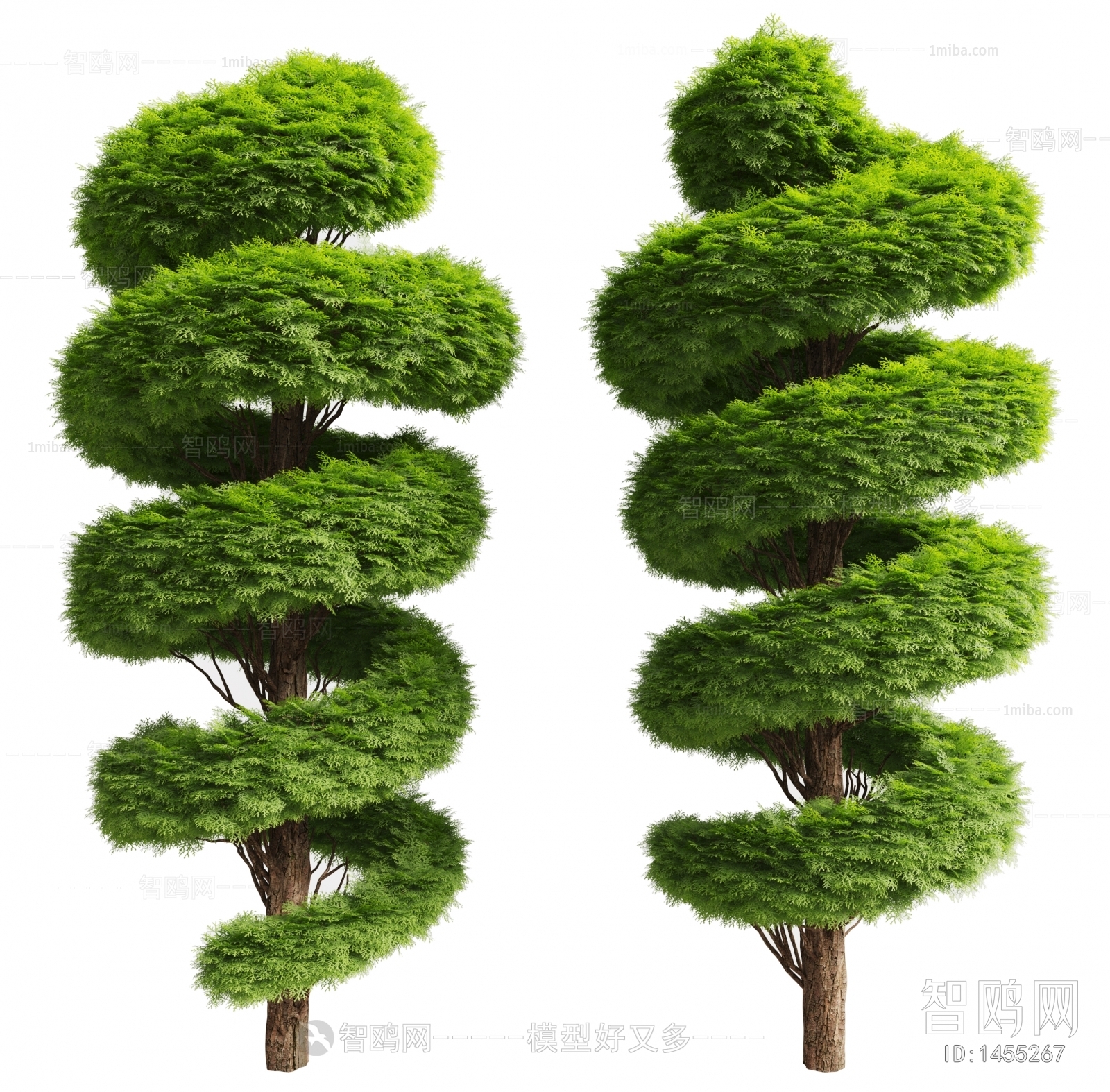 Modern Tree