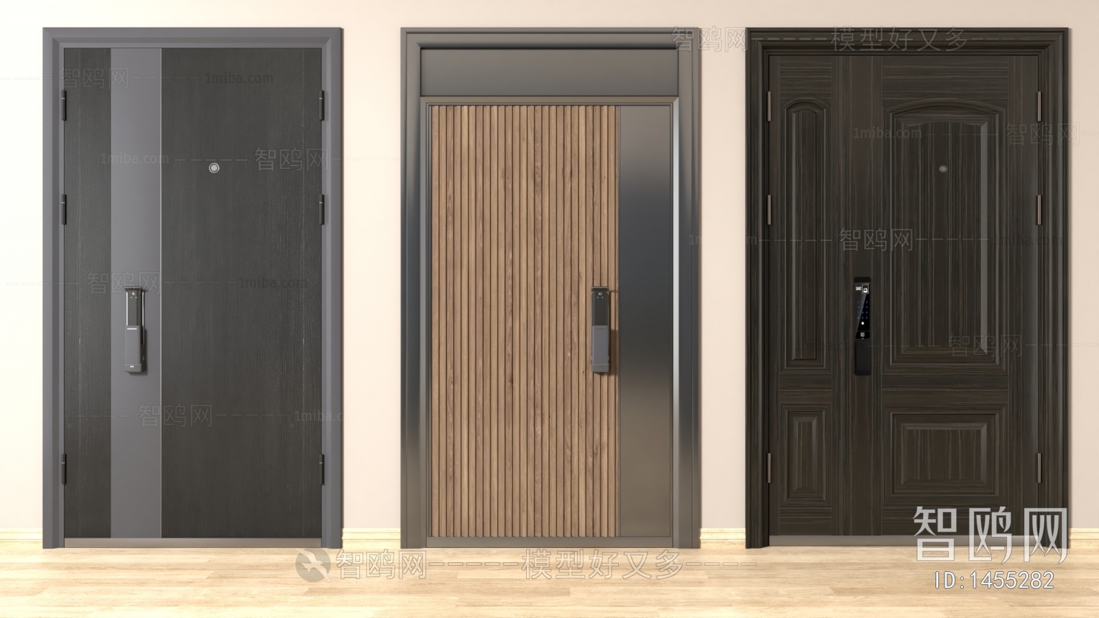 Modern Door