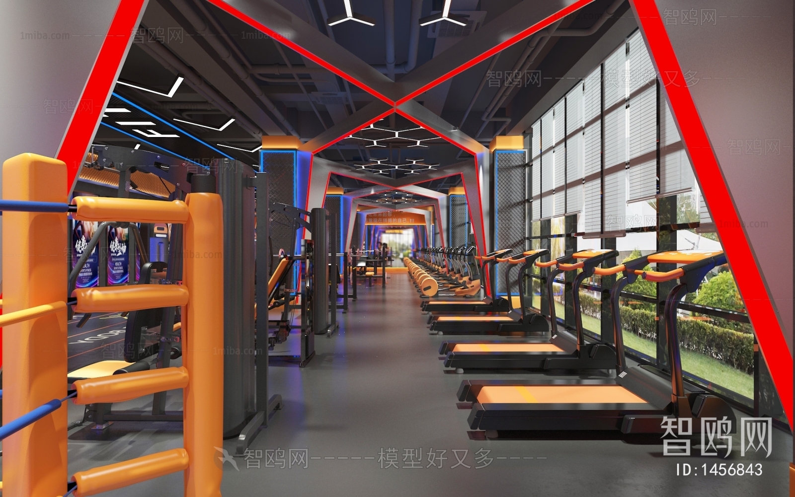 Modern Gym