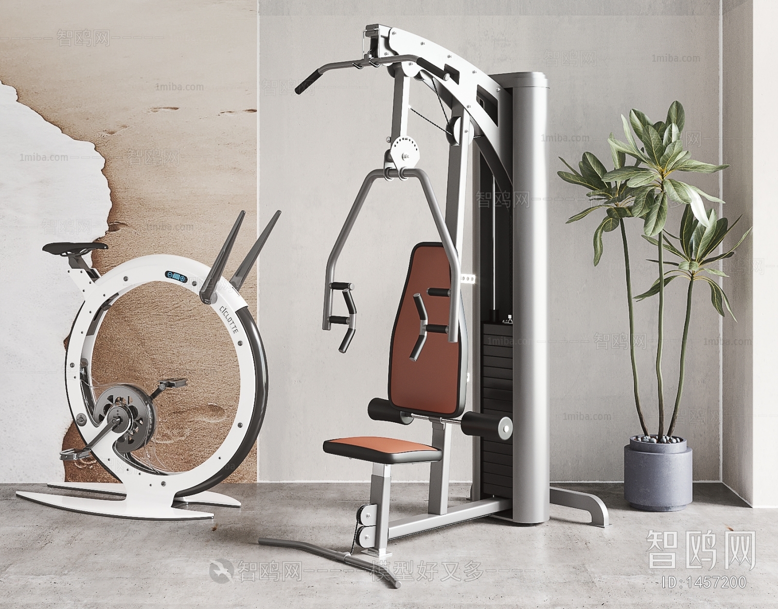 Modern Fitness Equipment