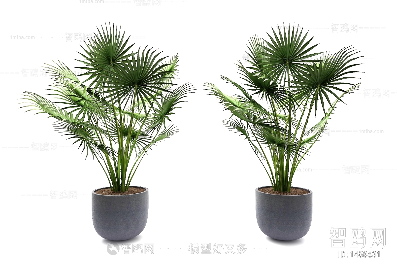 Modern Potted Green Plant