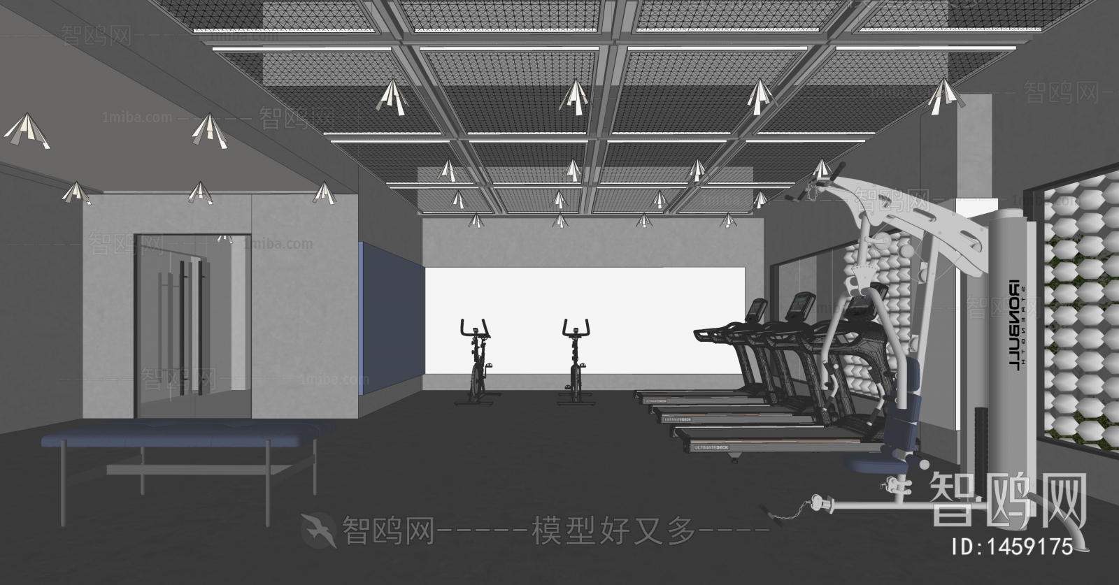 Modern Gym