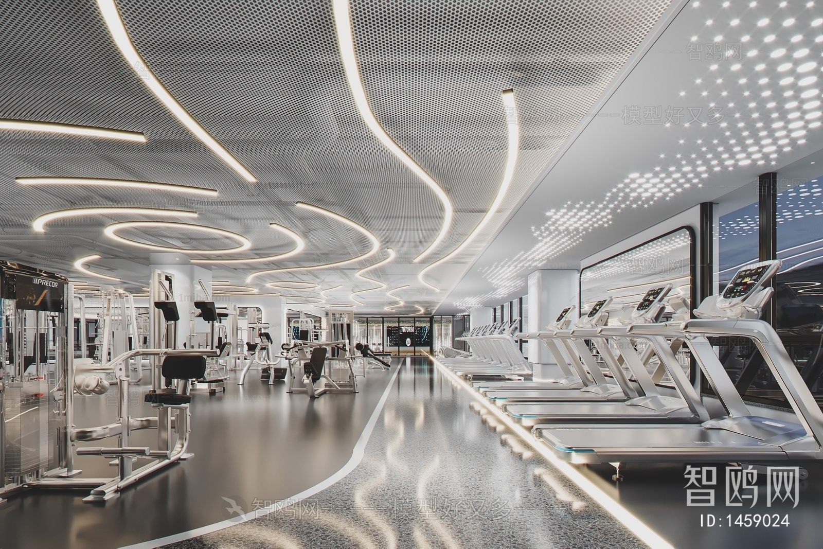 Modern Gym