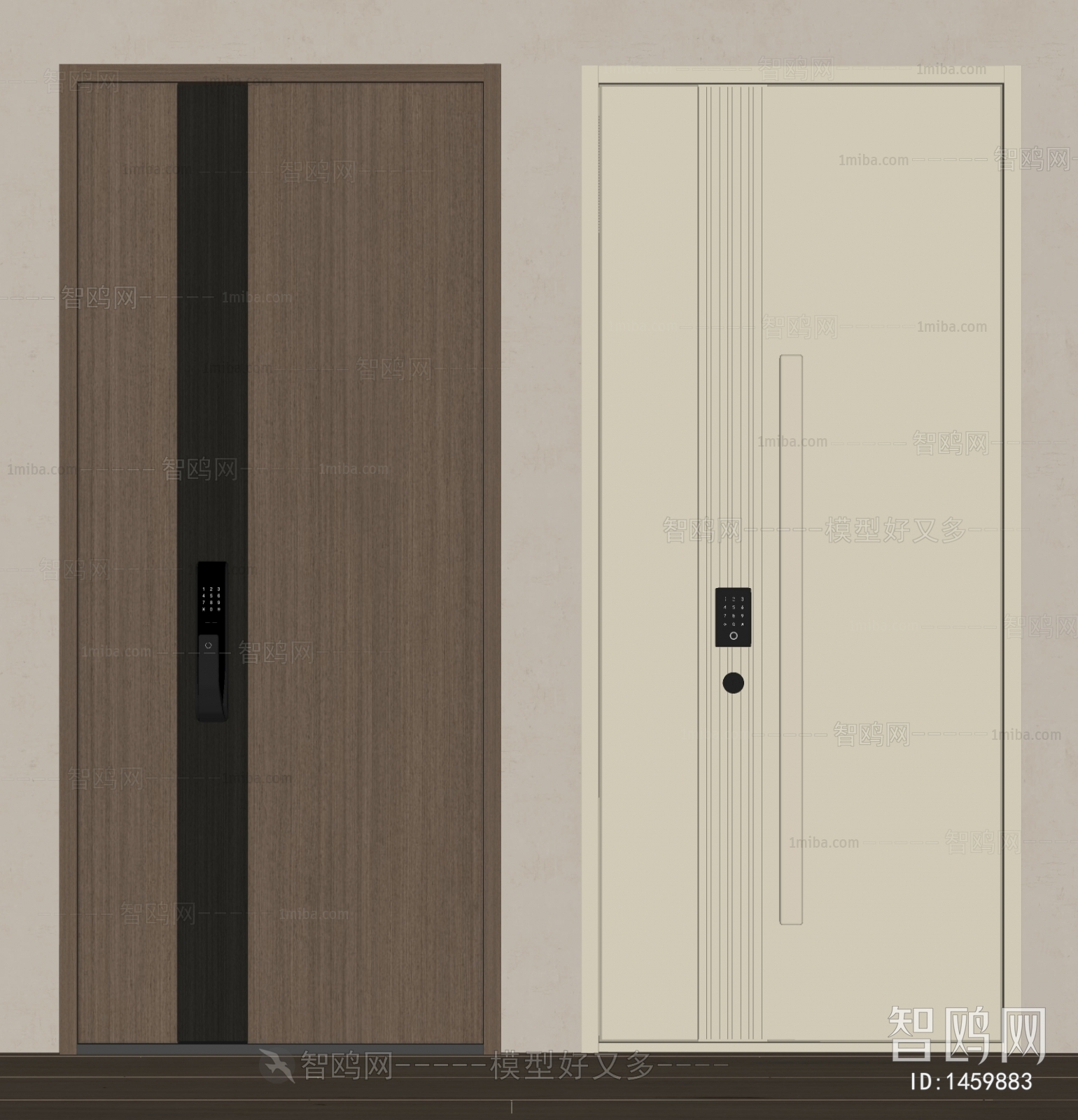 Modern Door