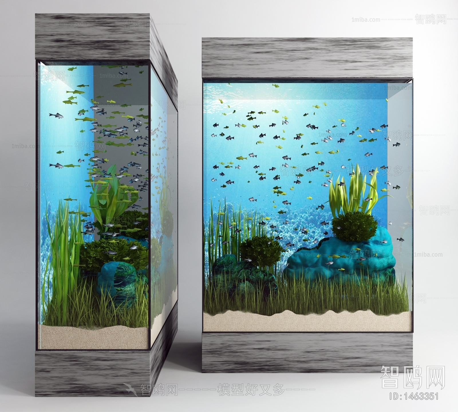 Modern Fish Tank