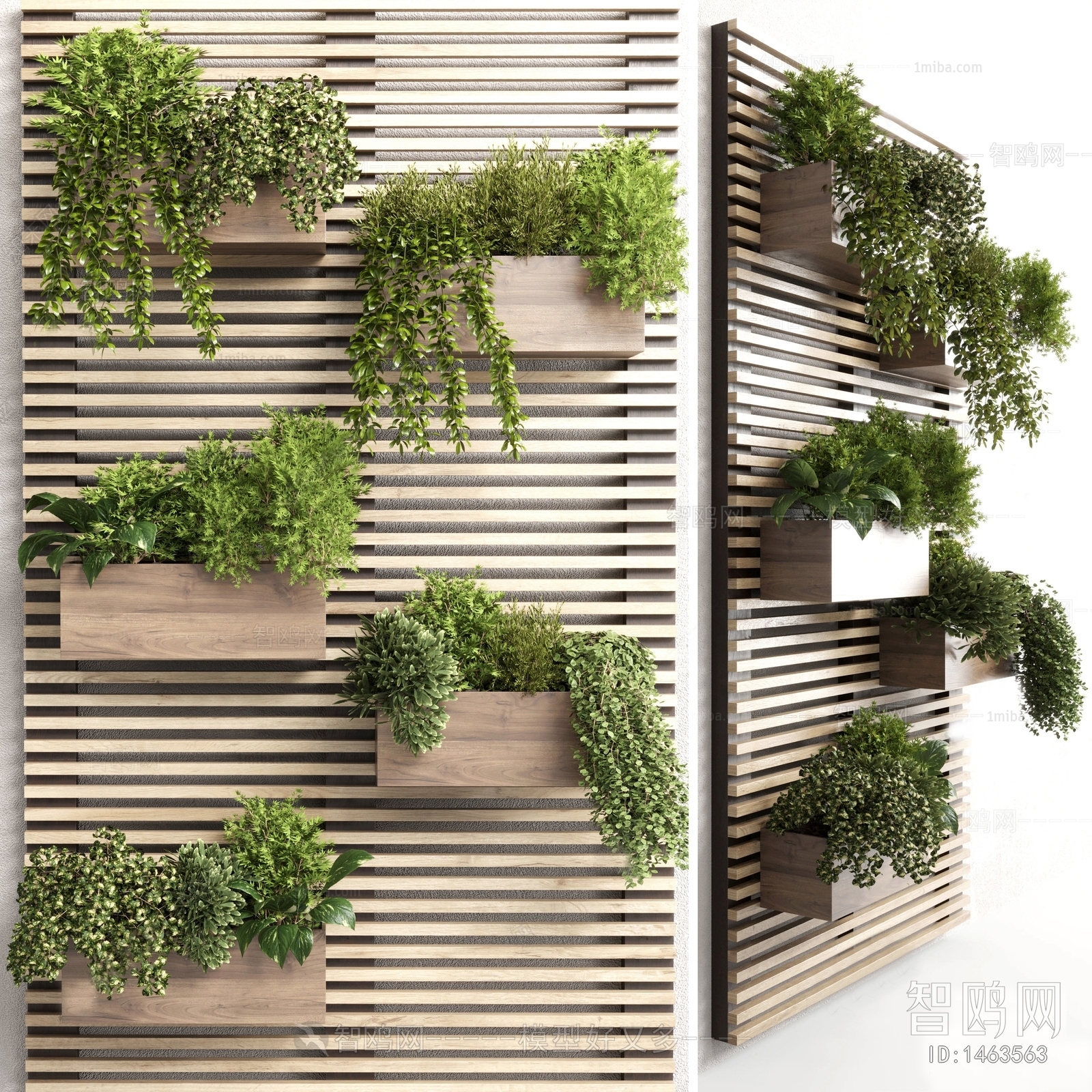 Modern Plant Wall