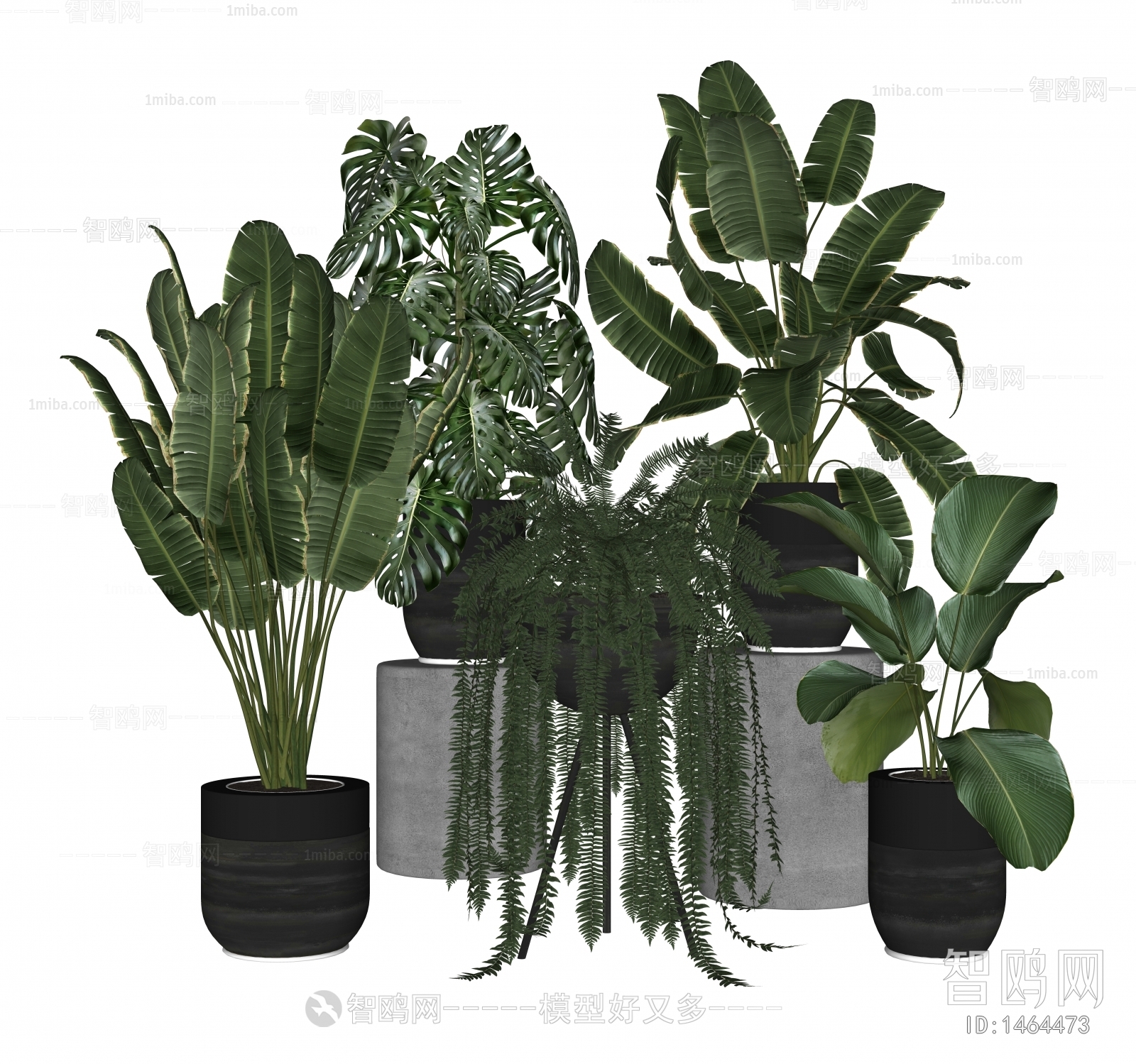 Modern Potted Green Plant