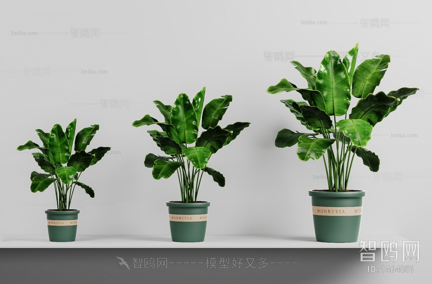 Modern Potted Green Plant