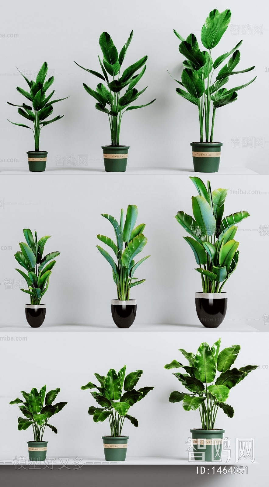 Modern Potted Green Plant