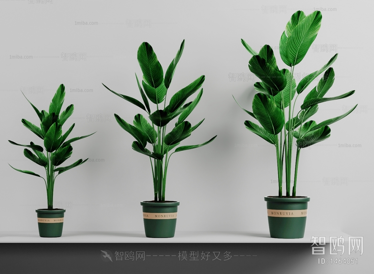 Modern Potted Green Plant