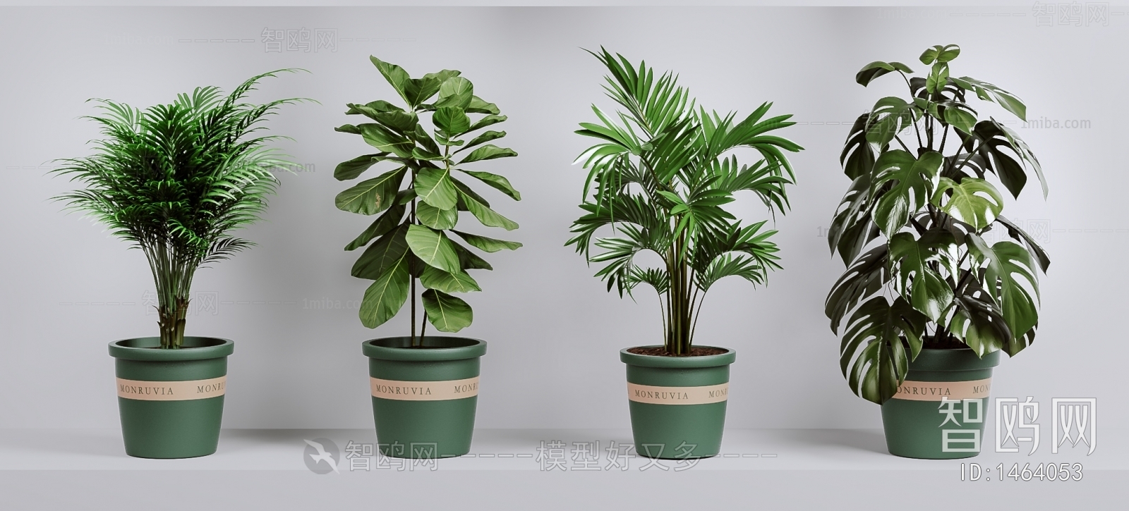 Modern Potted Green Plant