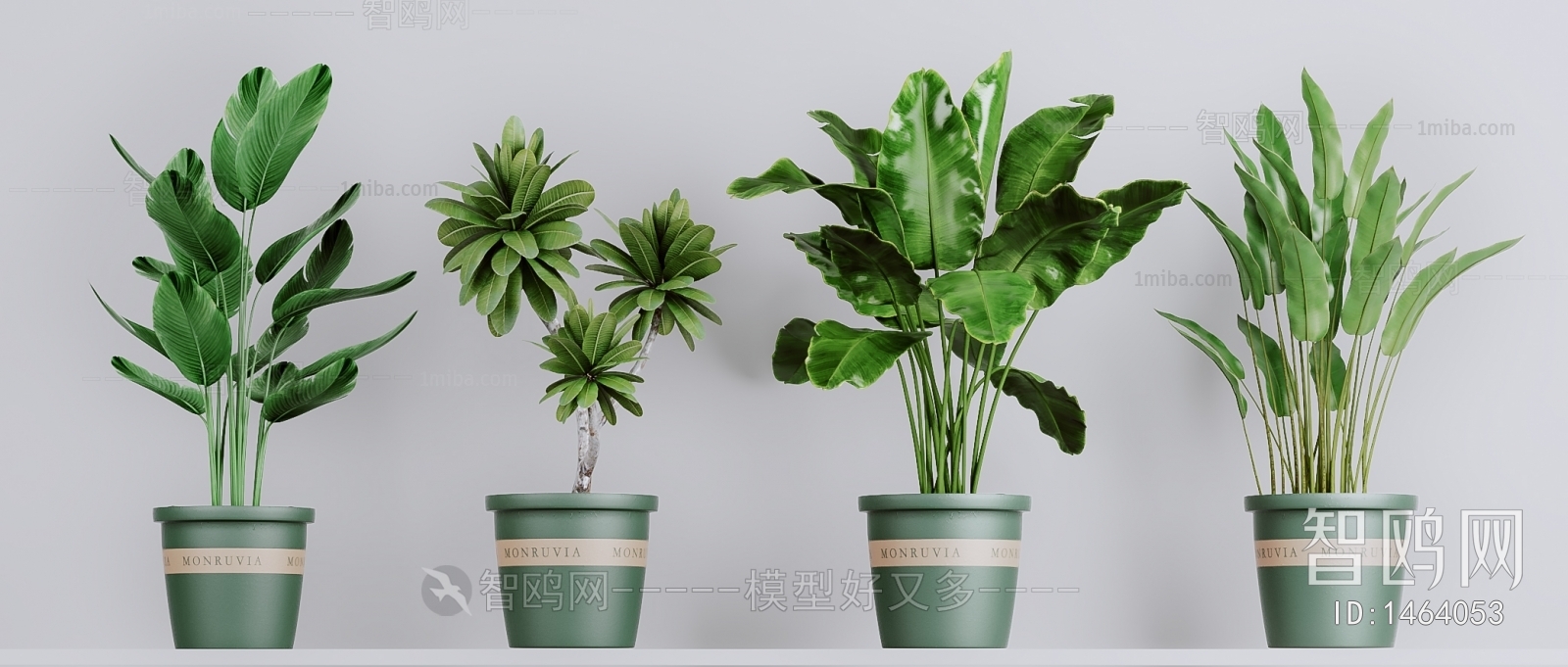 Modern Potted Green Plant