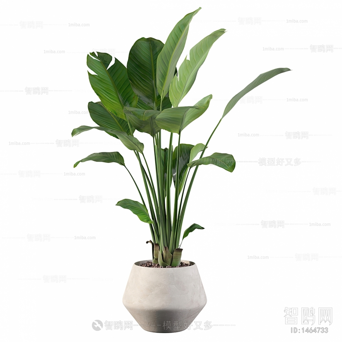 Modern Potted Green Plant