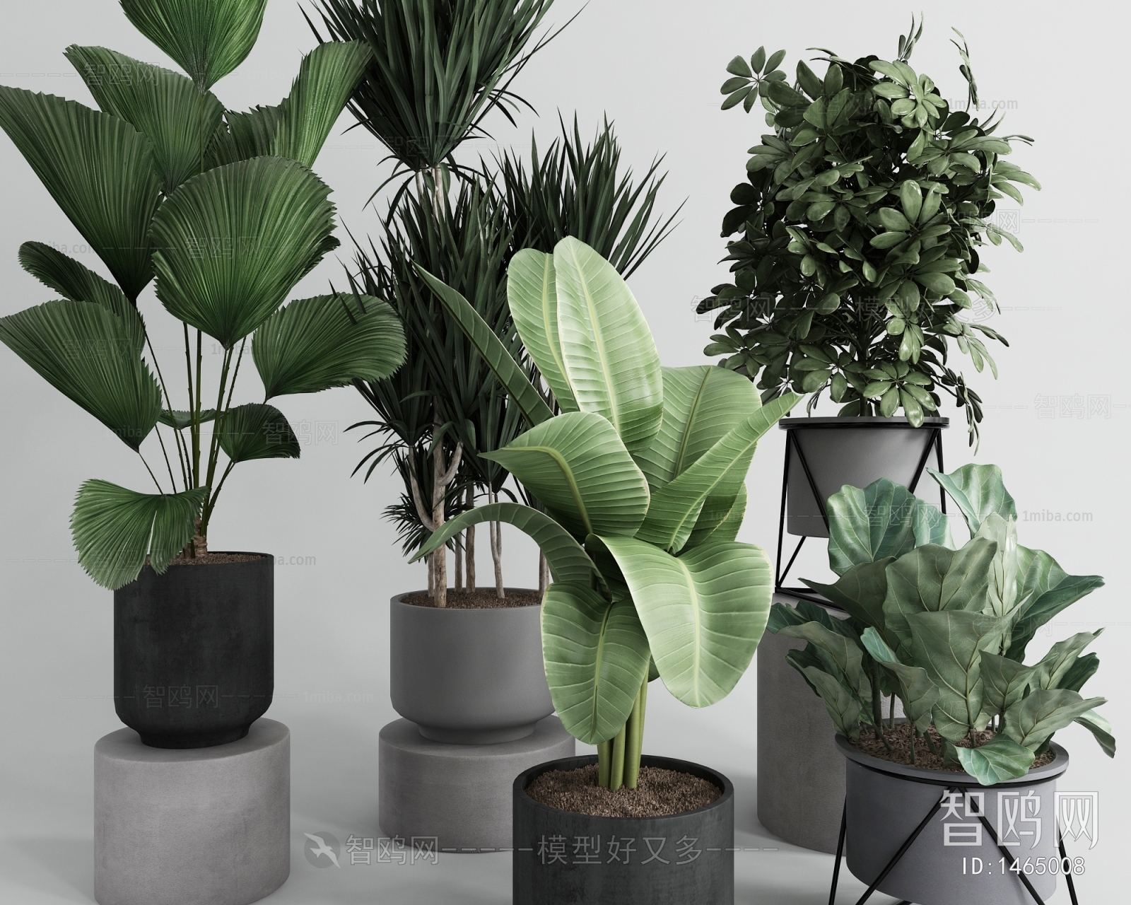 Modern Potted Green Plant