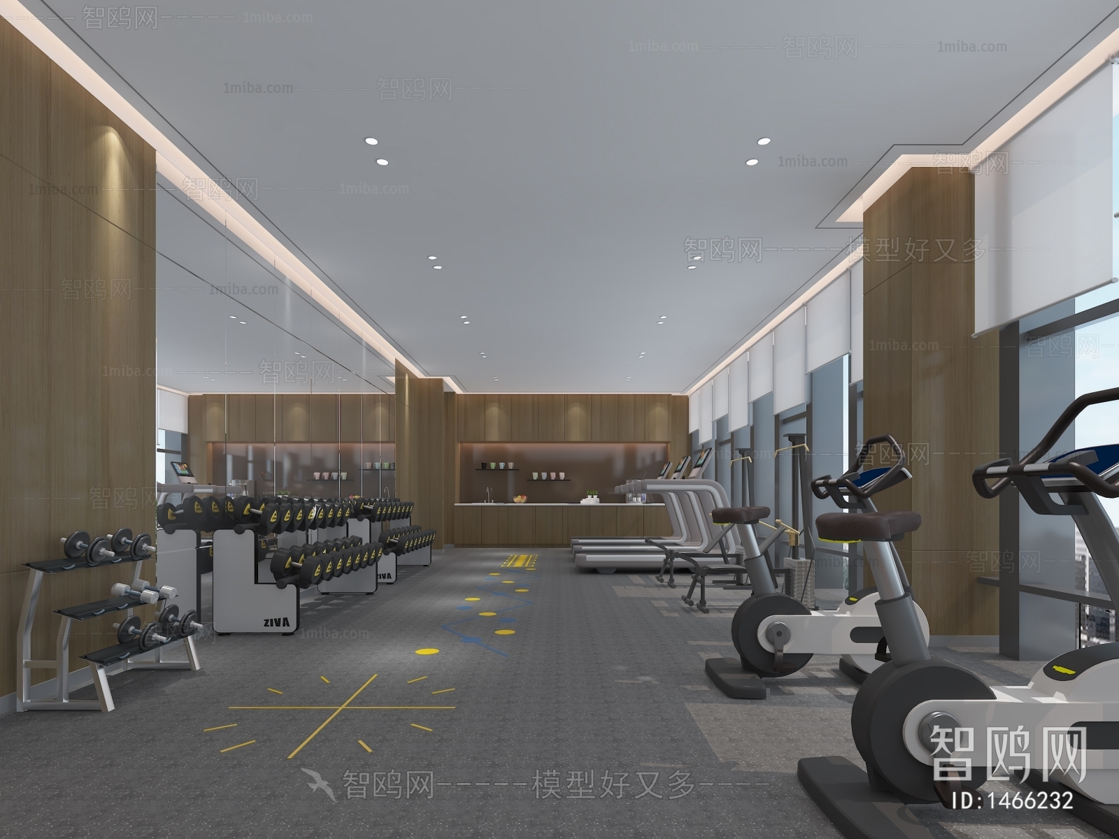 Modern Gym