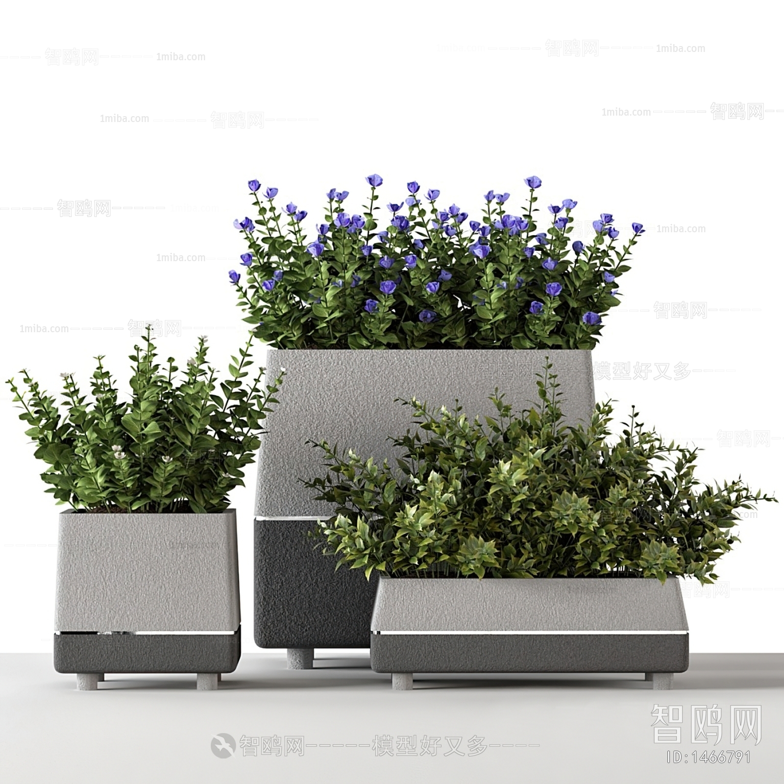 Modern Potted Green Plant