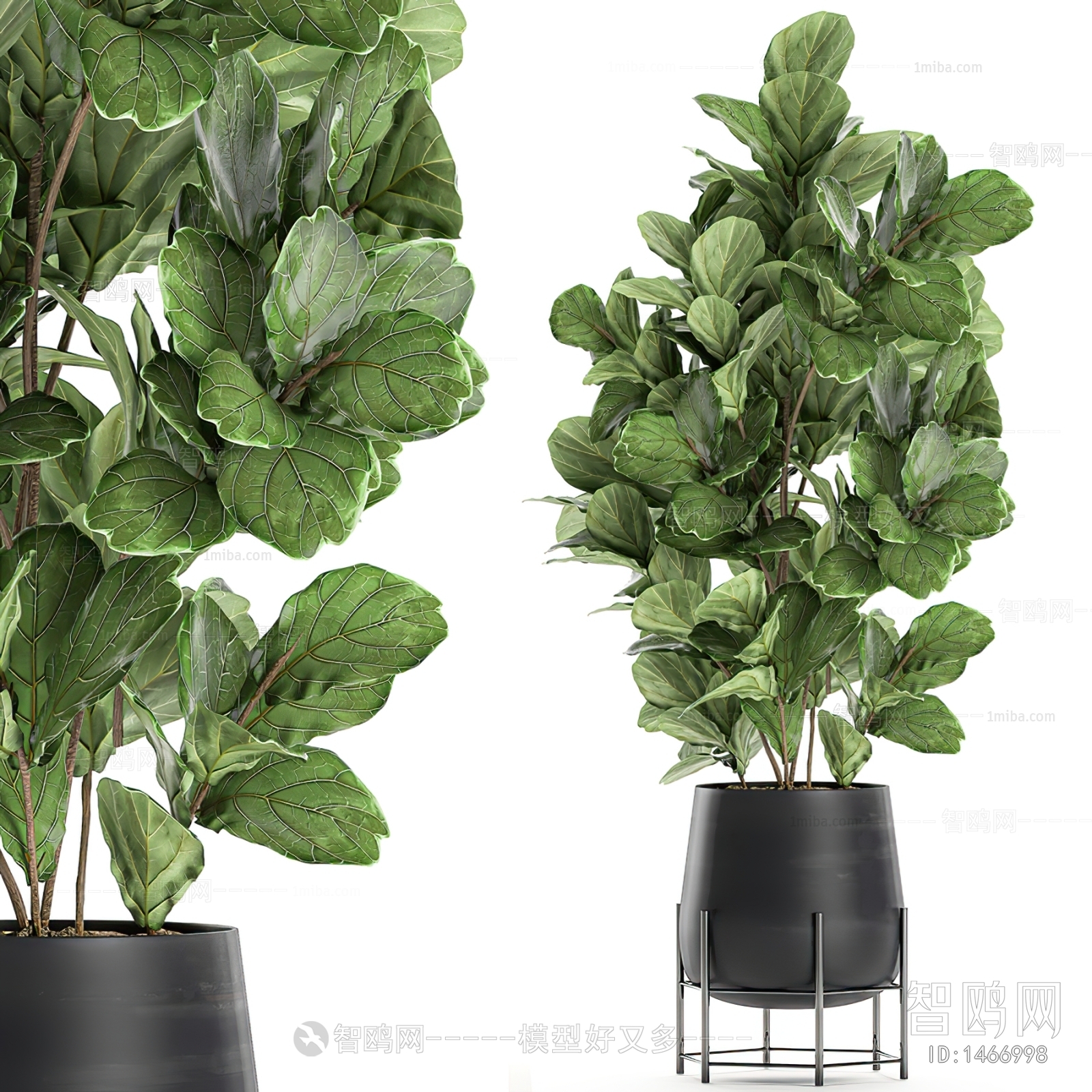 Modern Potted Green Plant