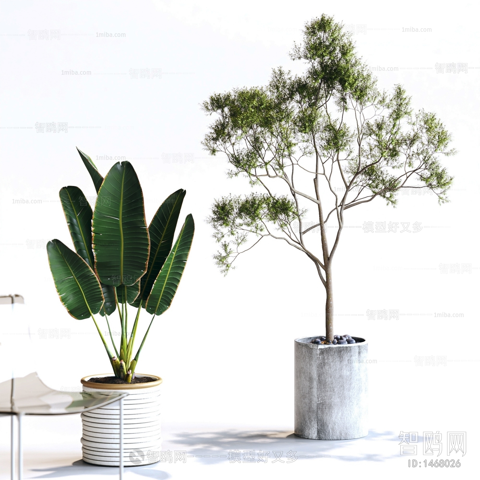 Modern Potted Green Plant