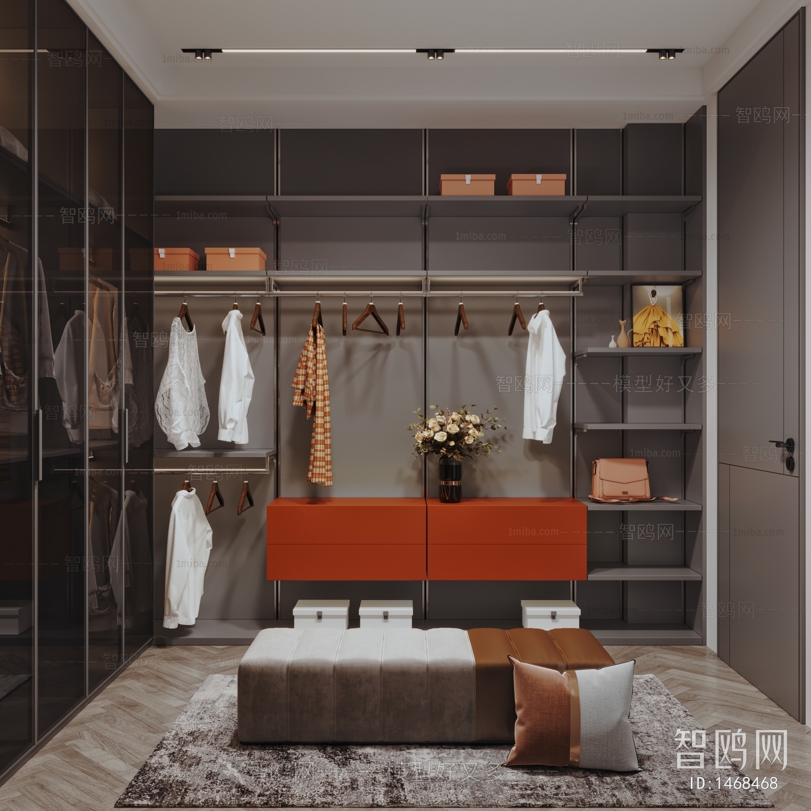 Modern Clothes Storage Area