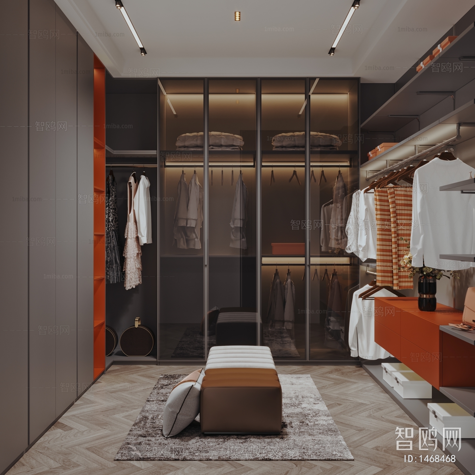 Modern Clothes Storage Area