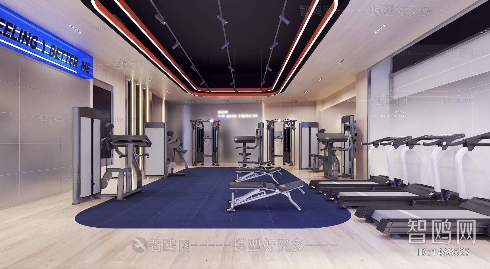 Modern Gym