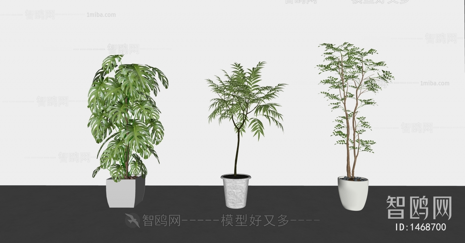 现代落地绿植盆栽