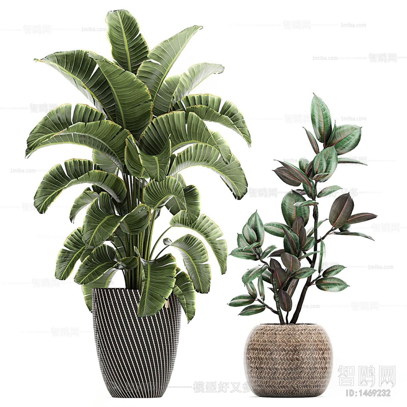 Modern Potted Green Plant