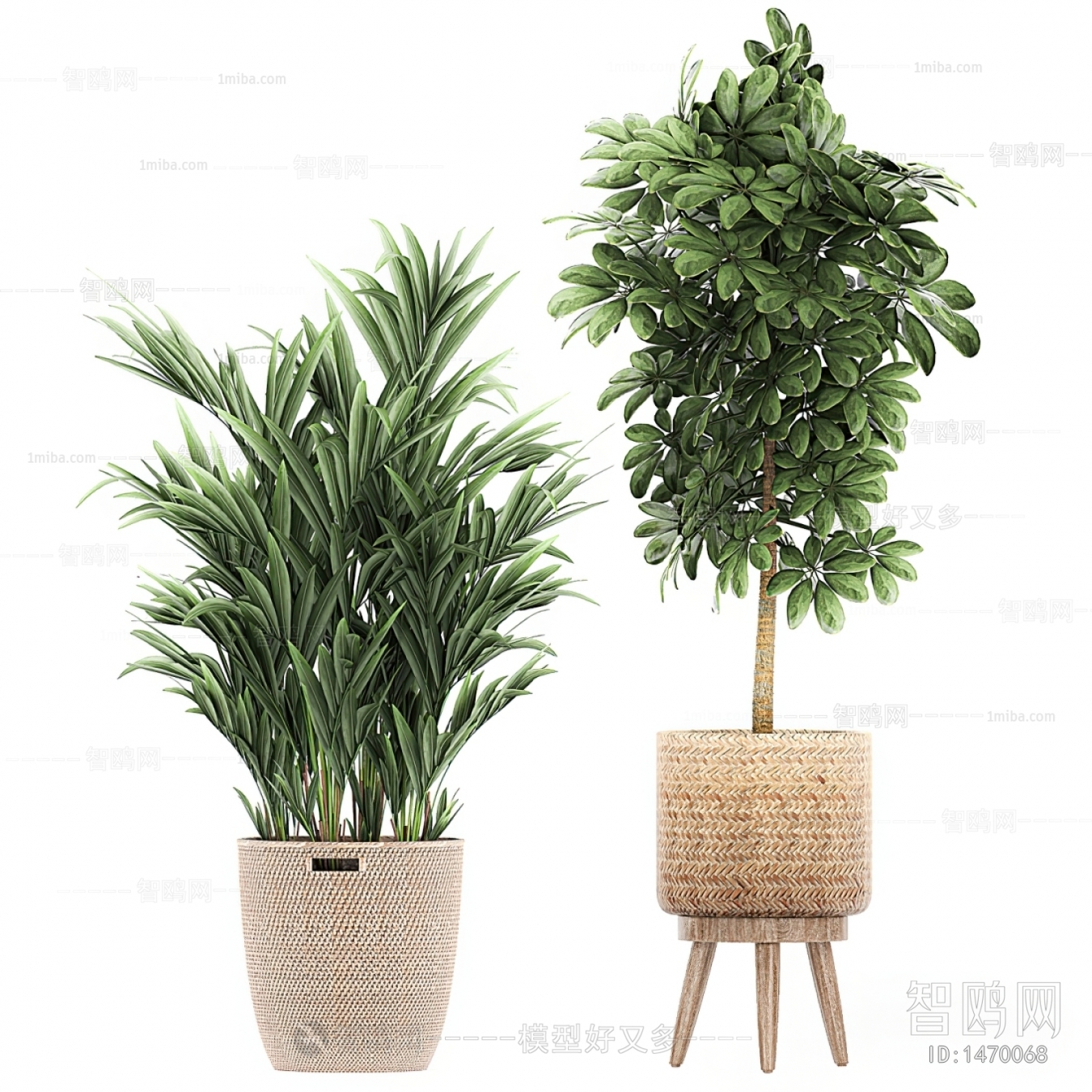 Modern Potted Green Plant