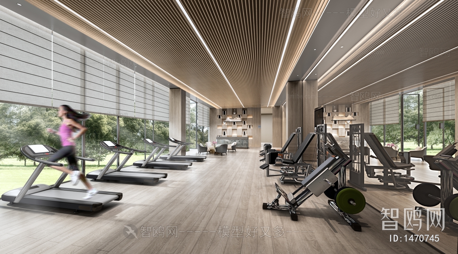 Modern Gym