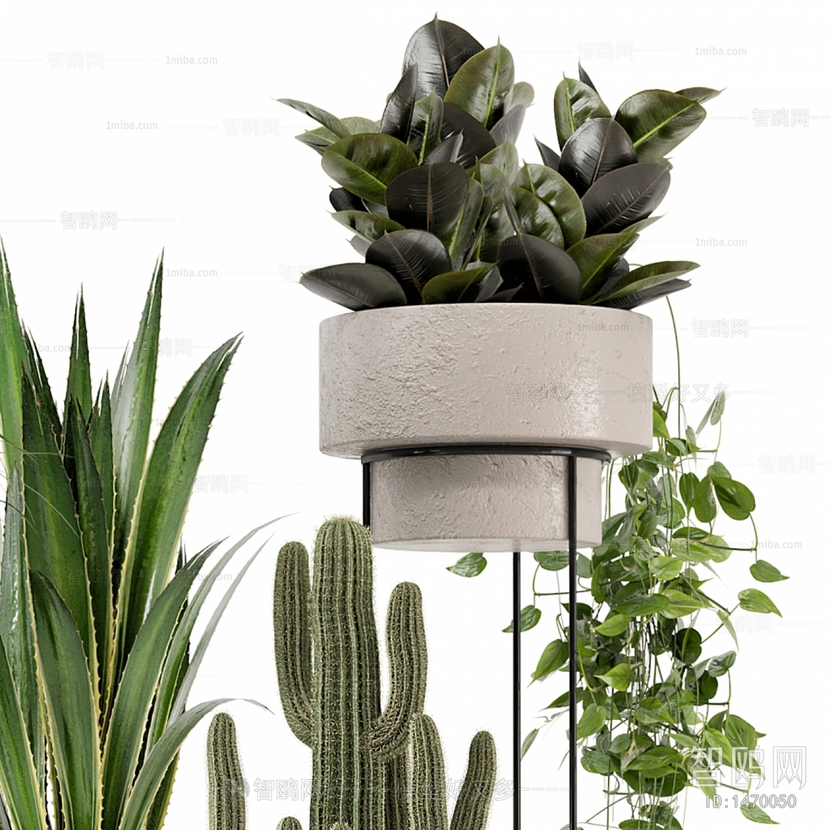 Modern Potted Green Plant