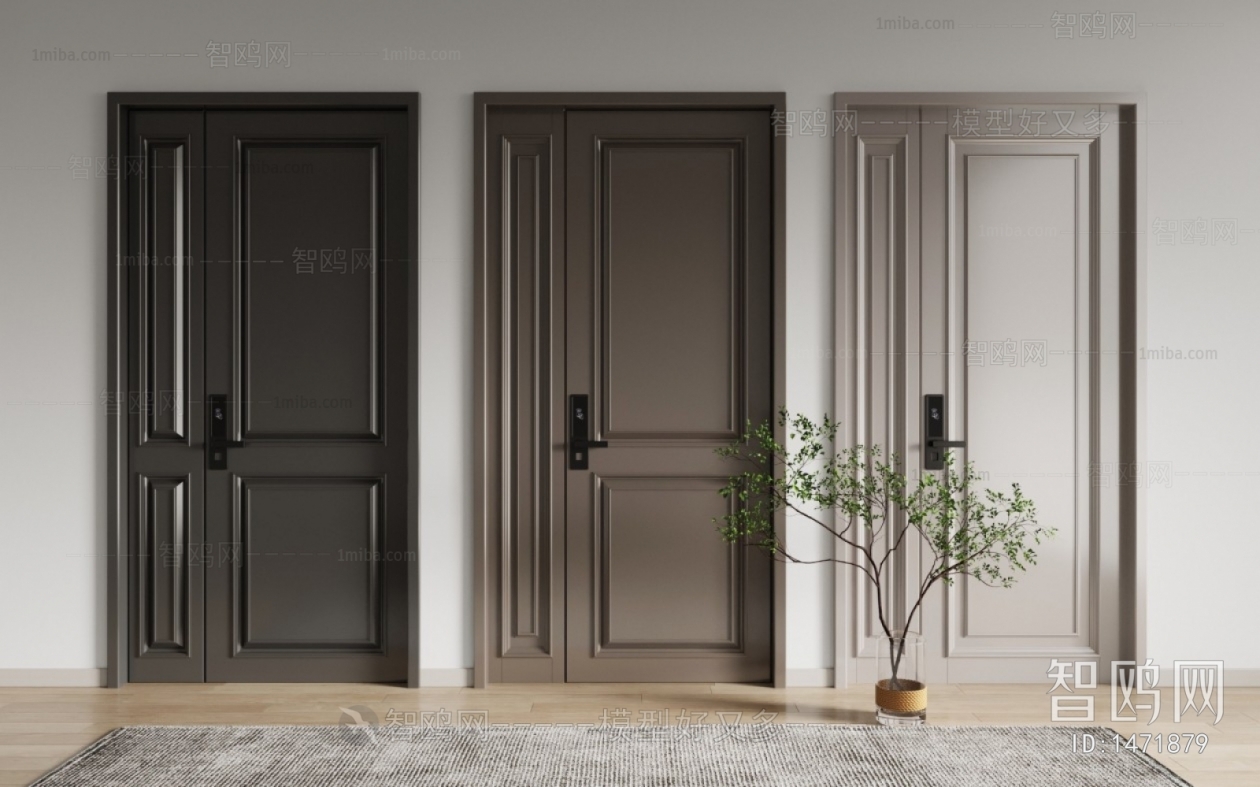 Modern Entrance Door