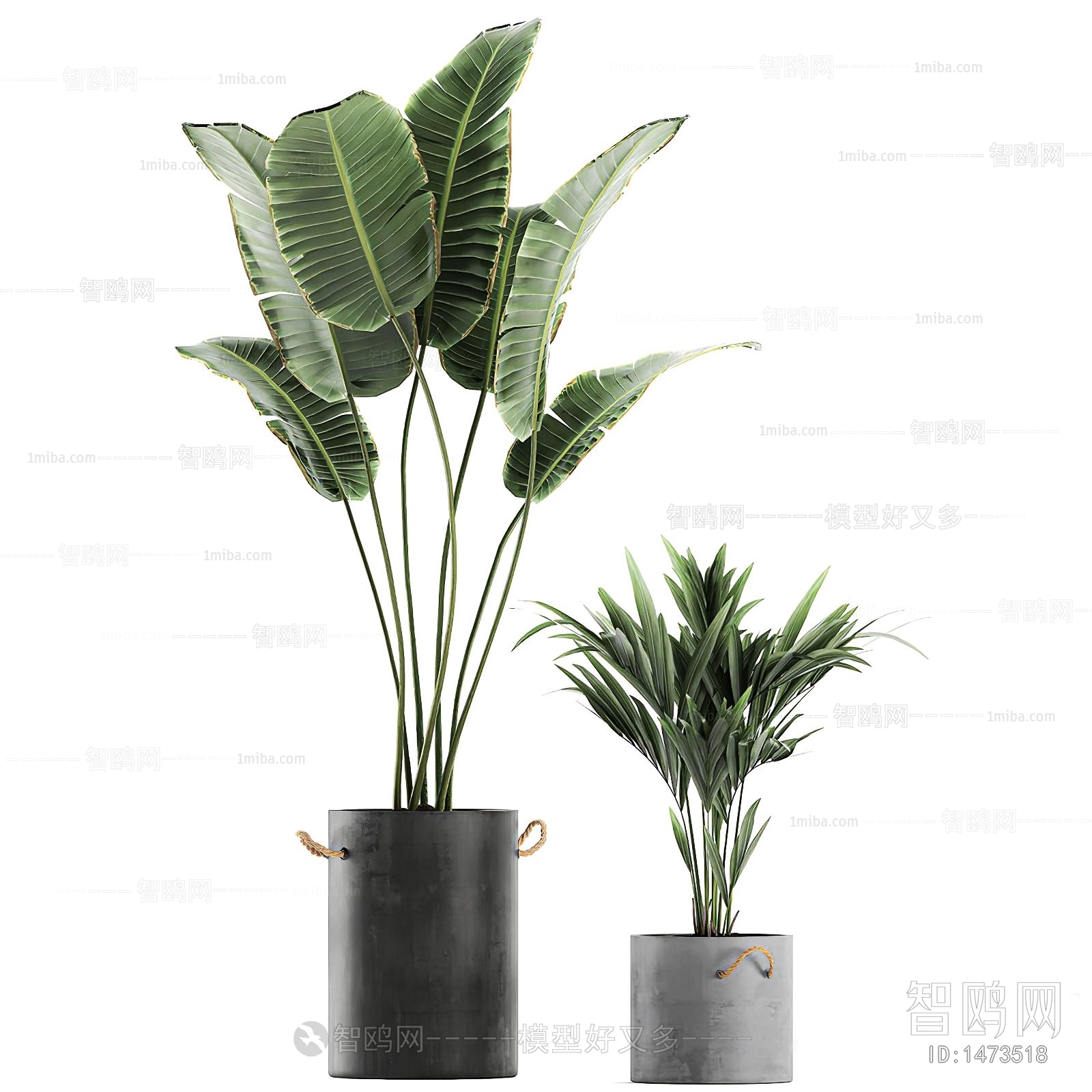 Modern Potted Green Plant