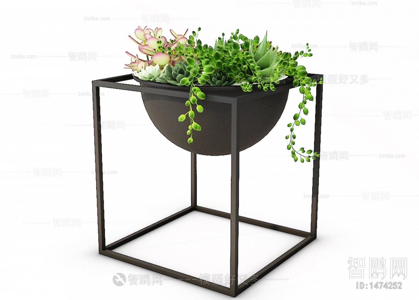 Modern Potted Green Plant